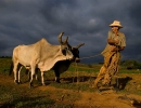 Cuba culture, cuisine, music, farm labor, farmer