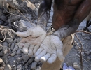 Haiti Earthquake Scavenger Hands